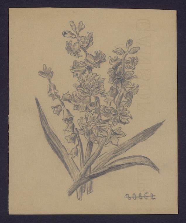 Wiązanka kwiat&oacute;w