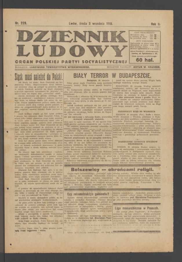 Dziennik Ludowy&nbsp;: organ Polskiej Partyi Socyalistycznej. Rok&nbsp;2, 1919, numer&nbsp;229